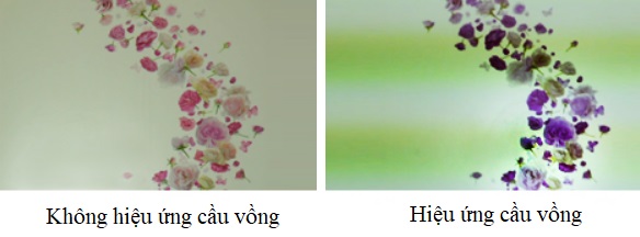 Hiệu ứng cầu vồng