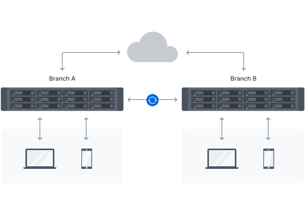 Synology RackStation RS2423+