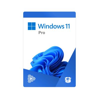 Win Pro FPP 11 64-bit All Lng PK Lic Online DwnLd NR (FQC-10572)